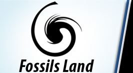 logo Fossilsland