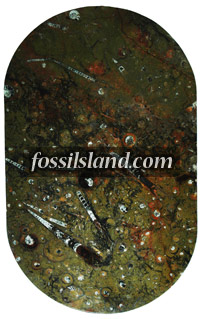 Table design Oval : image 1 0f 1 thumb
