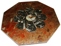 Table avec grande ammonite au centre : image 1 0f 1 thumb